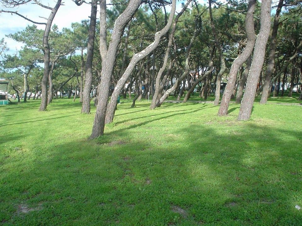 Parque De Campismo Da Praia Da Barra Gafanha da Nazaré Zewnętrze zdjęcie